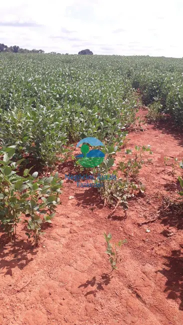 Foto 4 de Fazenda / Haras à venda, 183m2 em Centro, Goianesia - GO