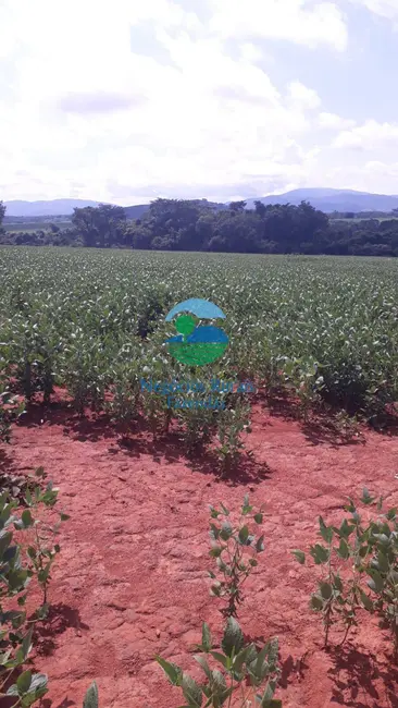 Foto 1 de Fazenda / Haras à venda, 183m2 em Centro, Goianesia - GO