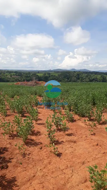Foto 6 de Fazenda / Haras à venda, 183m2 em Centro, Goianesia - GO