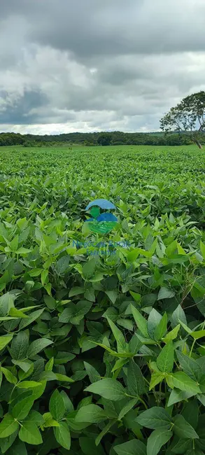 Foto 3 de Fazenda / Haras à venda, 183m2 em Centro, Goianesia - GO