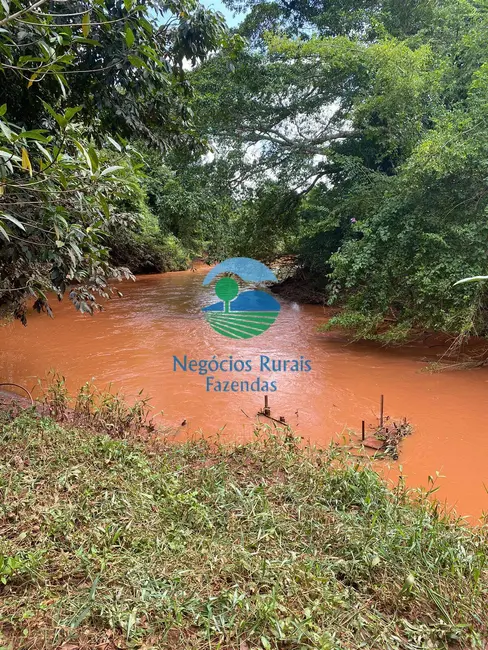 Foto 5 de Fazenda / Haras à venda, 183m2 em Centro, Goianesia - GO