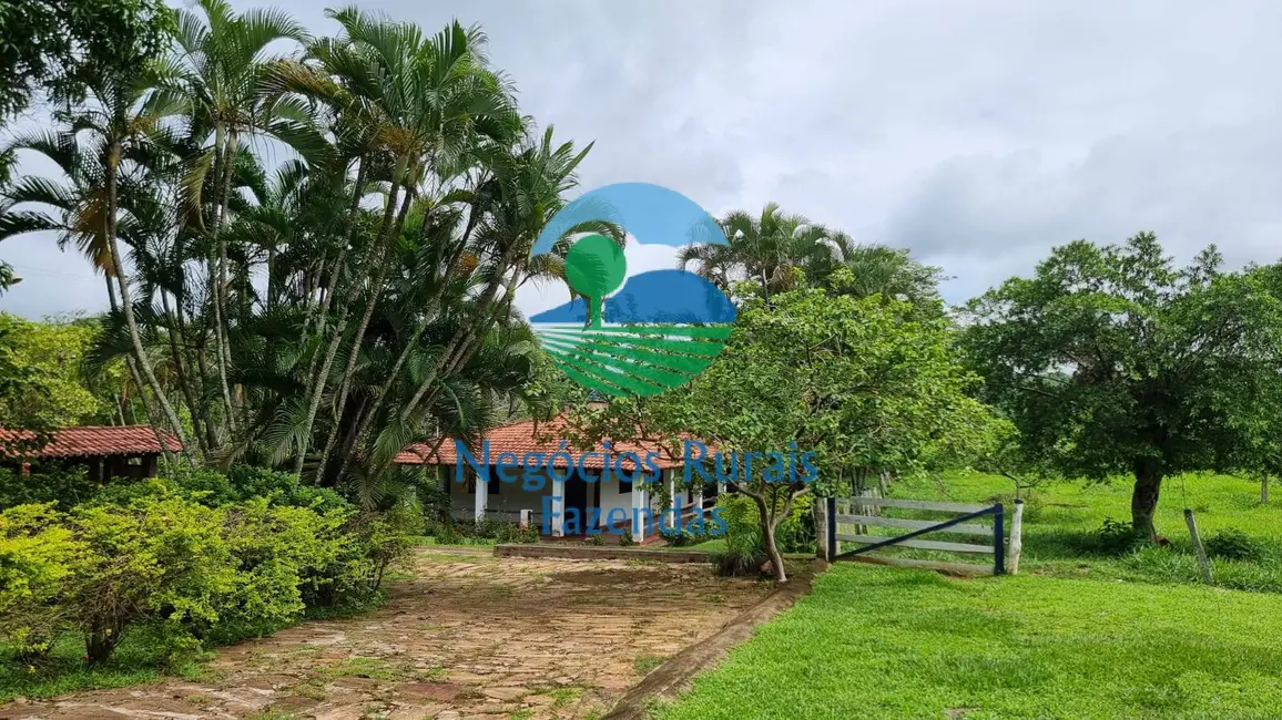 Foto 4 de Fazenda / Haras à venda, 440m2 em Setor Central, Jaragua - GO