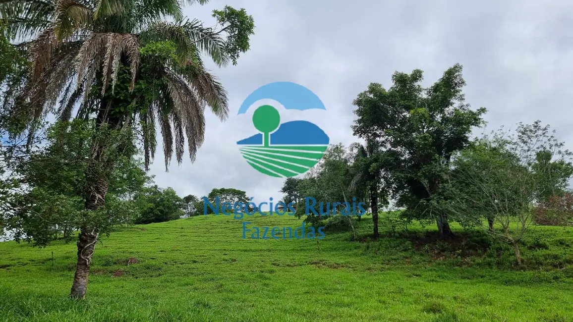 Foto 2 de Fazenda / Haras à venda, 440m2 em Setor Central, Jaragua - GO