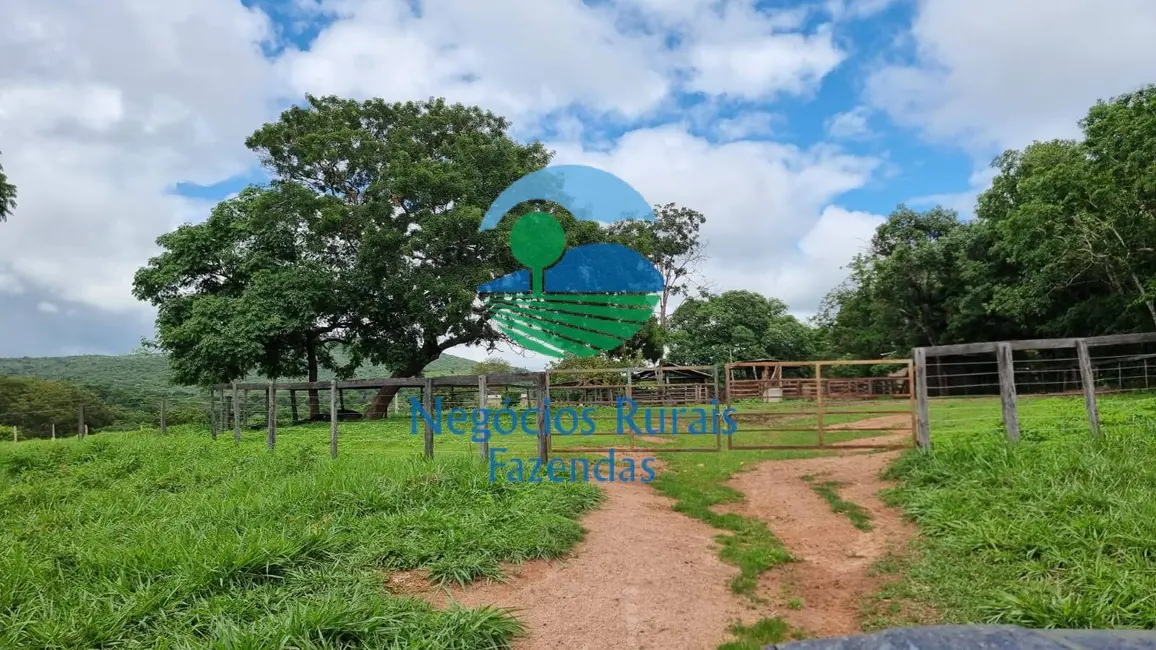 Foto 7 de Fazenda / Haras à venda, 440m2 em Setor Central, Jaragua - GO