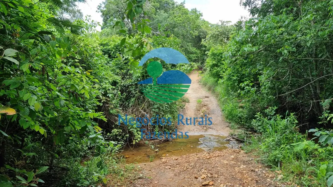 Foto 9 de Fazenda / Haras à venda, 440m2 em Setor Central, Jaragua - GO