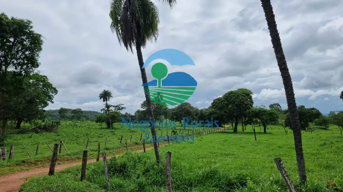 Foto 5 de Fazenda / Haras à venda, 440m2 em Setor Central, Jaragua - GO