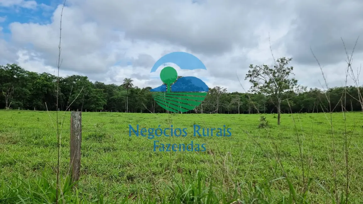 Foto 6 de Fazenda / Haras à venda, 440m2 em Setor Central, Jaragua - GO