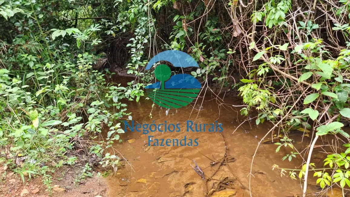 Foto 8 de Fazenda / Haras à venda, 440m2 em Setor Central, Jaragua - GO