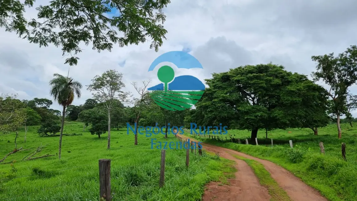 Foto 1 de Fazenda / Haras à venda, 440m2 em Setor Central, Jaragua - GO