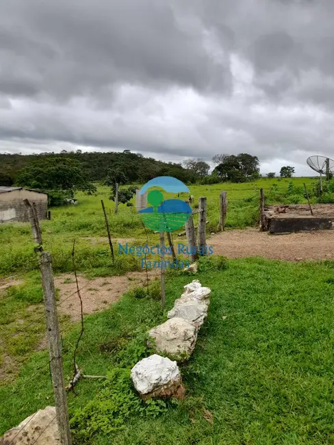 Foto 3 de Fazenda / Haras à venda, 654m2 em Centro, Alto Paraiso De Goias - GO