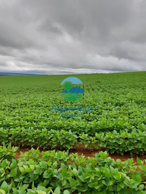 Foto 1 de Fazenda / Haras à venda, 654m2 em Centro, Alto Paraiso De Goias - GO