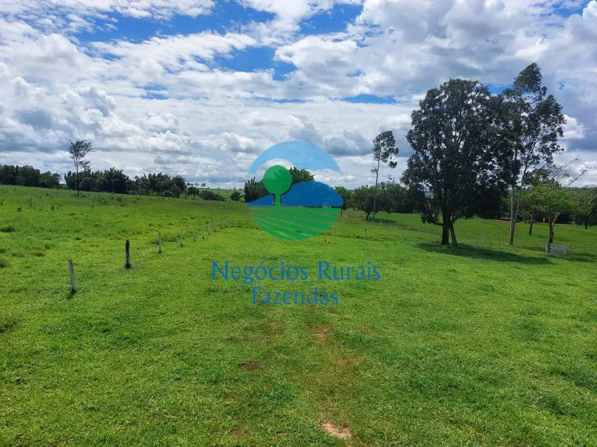 Foto 4 de Fazenda / Haras à venda em Centro, Jatai - GO