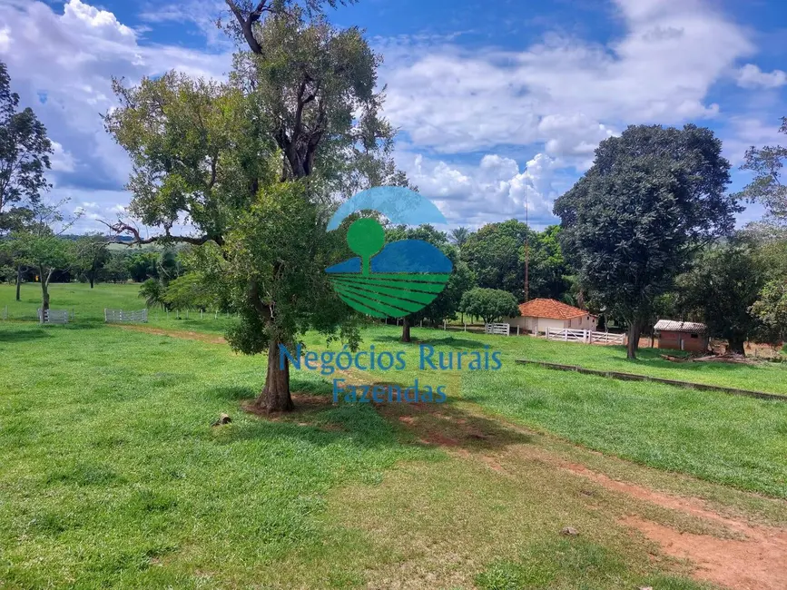 Foto 7 de Fazenda / Haras à venda em Centro, Jatai - GO