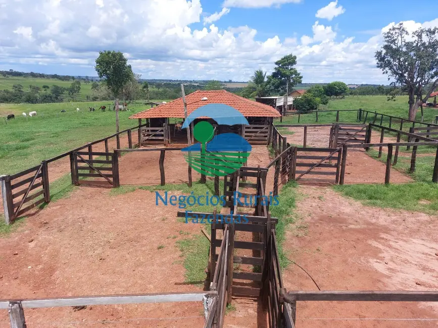 Foto 5 de Fazenda / Haras à venda em Centro, Jatai - GO