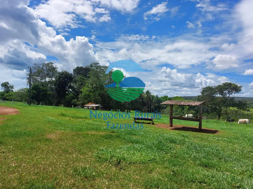 Foto 8 de Fazenda / Haras à venda em Centro, Jatai - GO