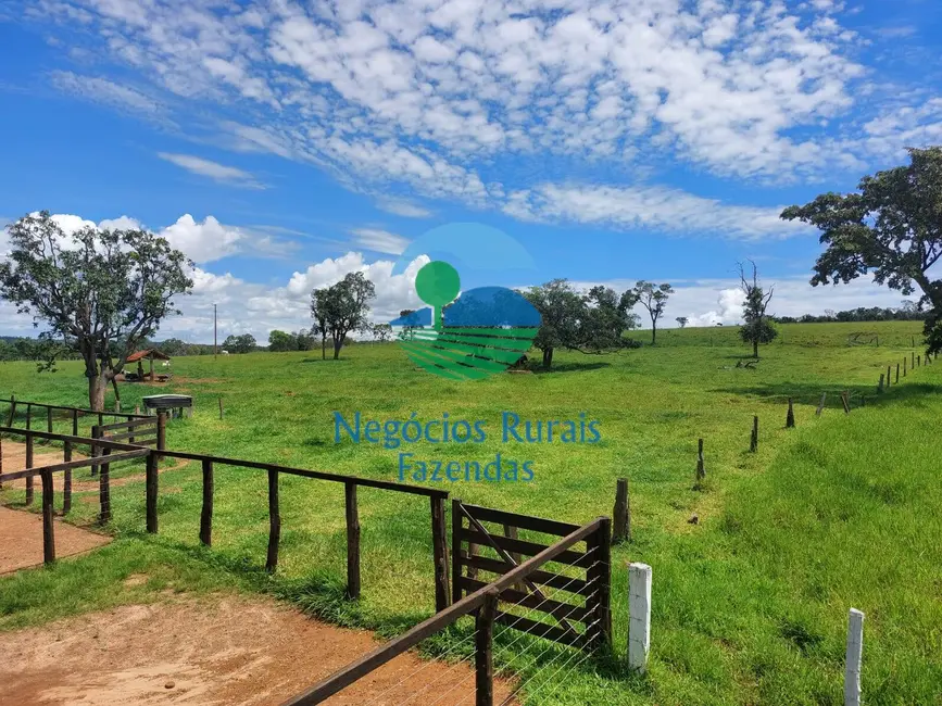 Foto 6 de Fazenda / Haras à venda em Centro, Jatai - GO