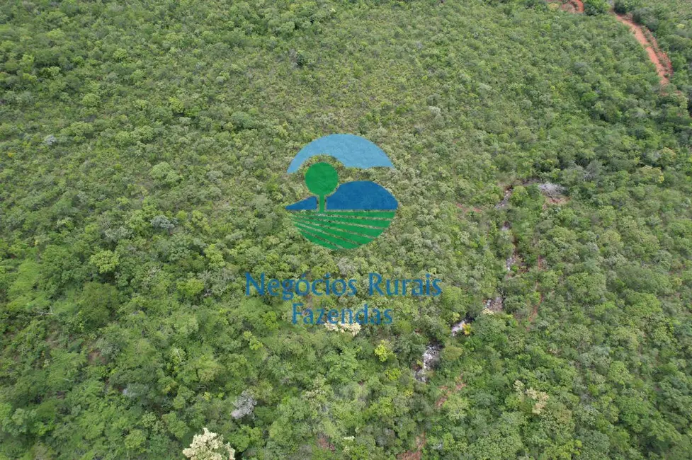 Foto 9 de Fazenda / Haras com 2 quartos à venda, 972m2 em Barro Alto - GO