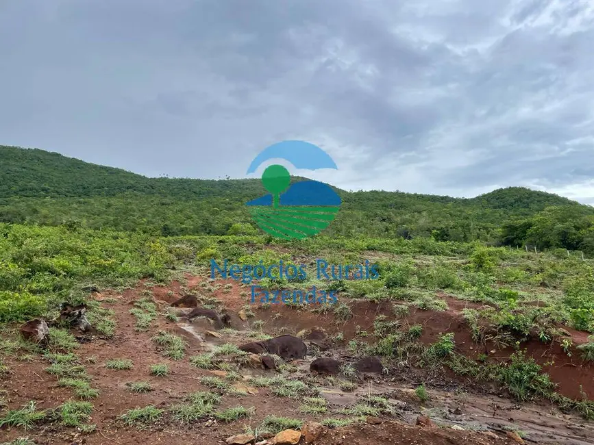 Foto 4 de Fazenda / Haras com 2 quartos à venda, 972m2 em Barro Alto - GO