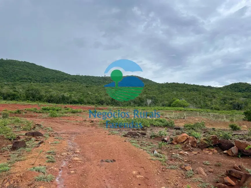 Foto 2 de Fazenda / Haras com 2 quartos à venda, 972m2 em Barro Alto - GO