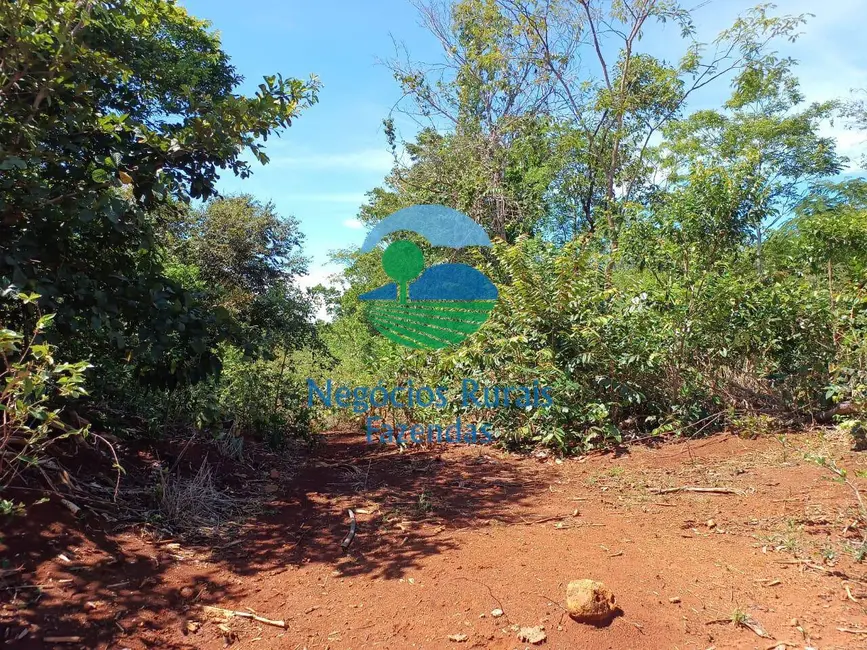 Foto 5 de Fazenda / Haras com 2 quartos à venda, 972m2 em Barro Alto - GO