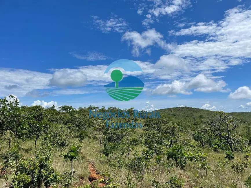 Foto 8 de Fazenda / Haras com 2 quartos à venda, 972m2 em Barro Alto - GO