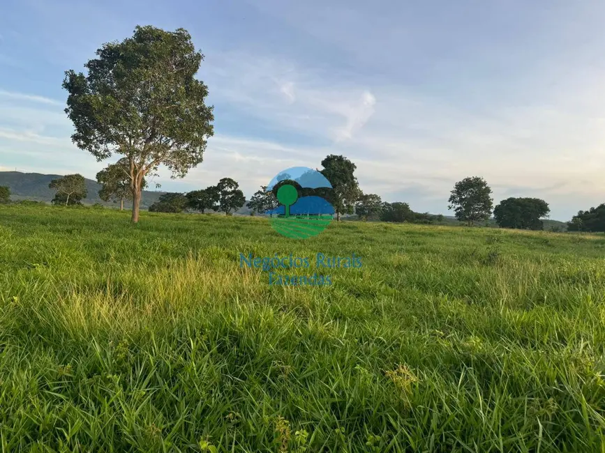 Foto 2 de Fazenda / Haras à venda, 300m2 em Niquelandia - GO