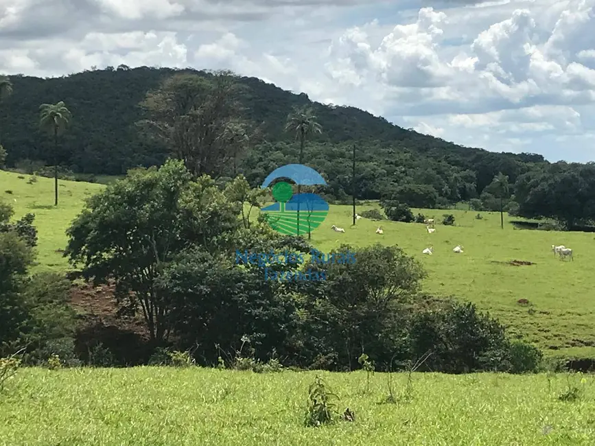 Foto 1 de Fazenda / Haras à venda, 1085m2 em Barro Alto - GO