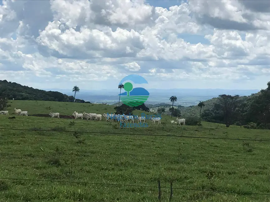 Foto 7 de Fazenda / Haras à venda, 1085m2 em Barro Alto - GO