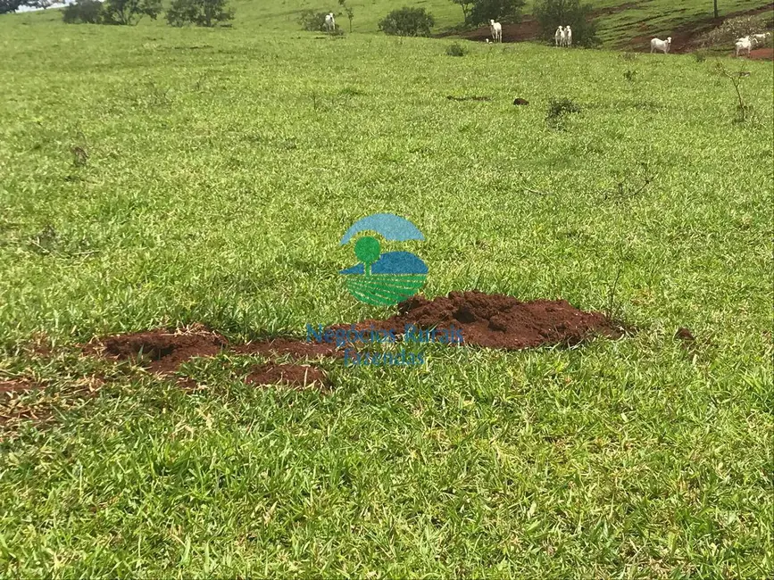 Foto 4 de Fazenda / Haras à venda, 1085m2 em Barro Alto - GO