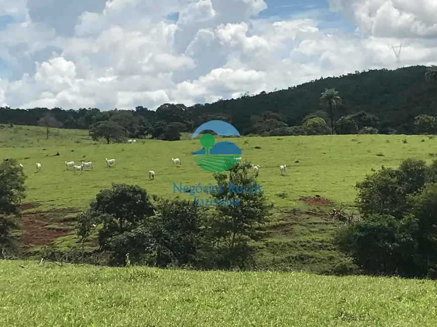 Foto 2 de Fazenda / Haras à venda, 1085m2 em Barro Alto - GO