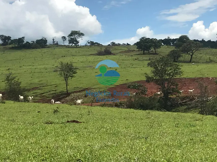 Foto 8 de Fazenda / Haras à venda, 1085m2 em Barro Alto - GO