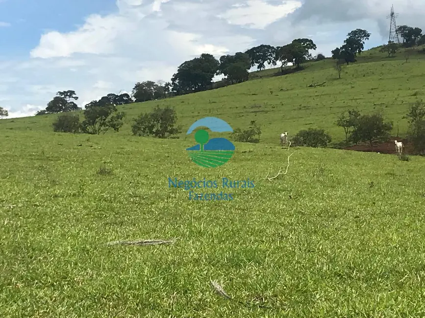 Foto 3 de Fazenda / Haras à venda, 1085m2 em Barro Alto - GO