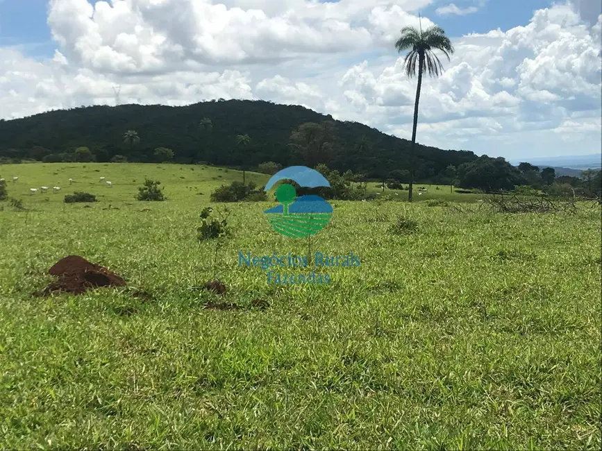 Foto 5 de Fazenda / Haras à venda, 1085m2 em Barro Alto - GO