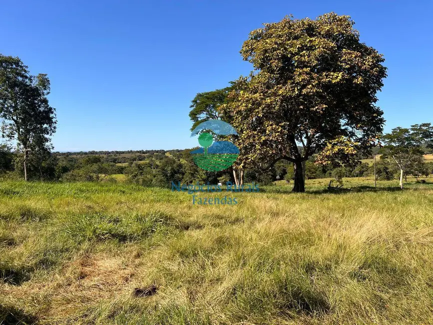 Foto 7 de Fazenda / Haras à venda em Alto Horizonte - GO