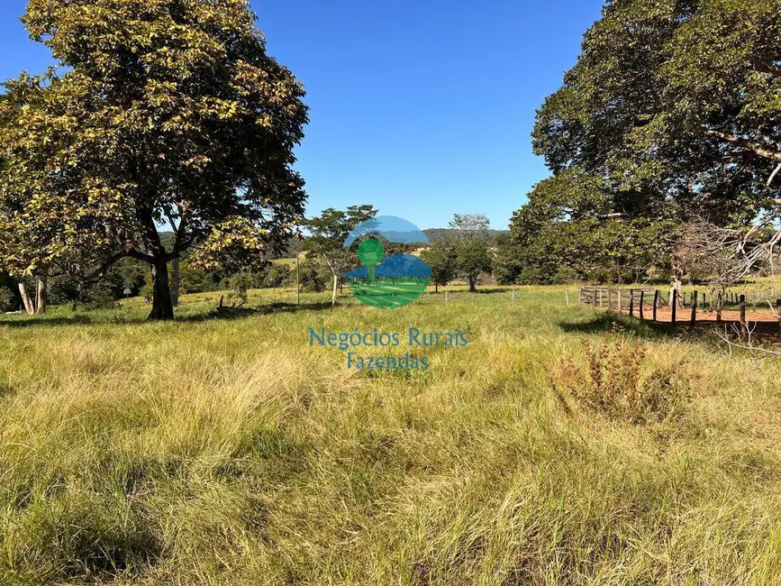 Foto 5 de Fazenda / Haras à venda em Alto Horizonte - GO