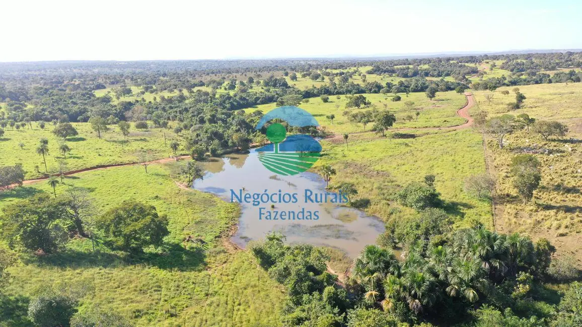 Foto 3 de Fazenda / Haras à venda em Alto Horizonte - GO