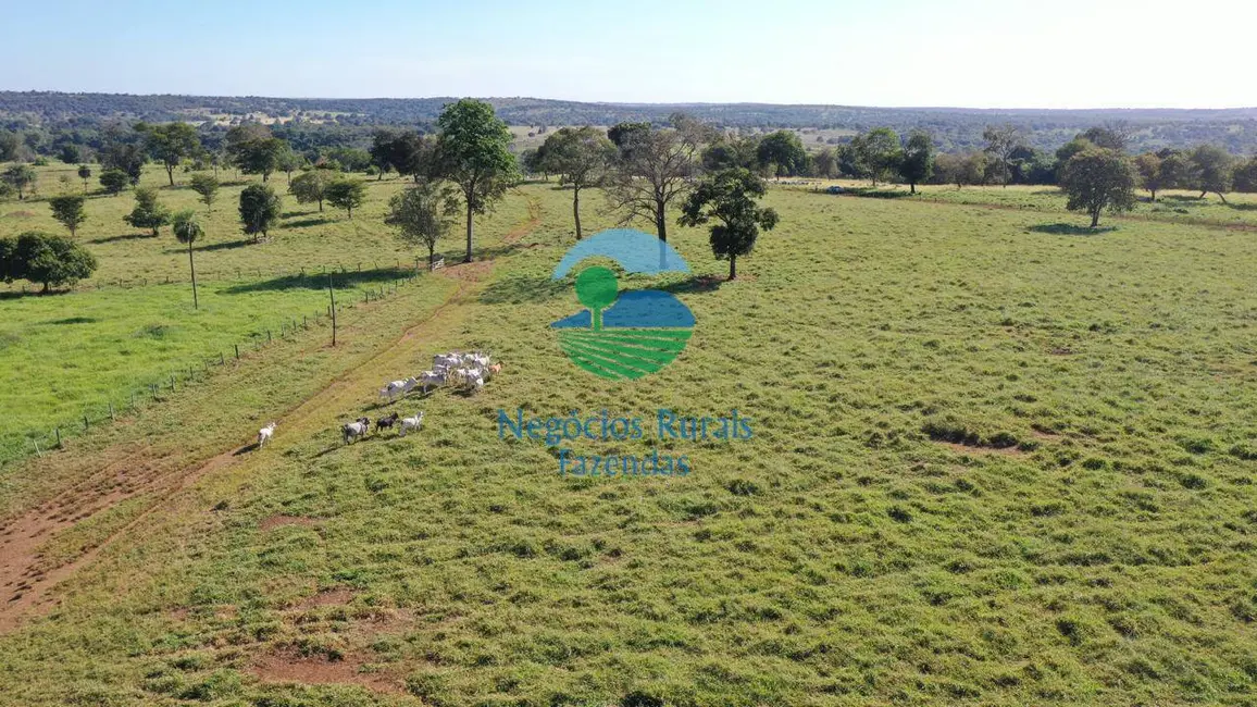Foto 1 de Fazenda / Haras à venda em Alto Horizonte - GO