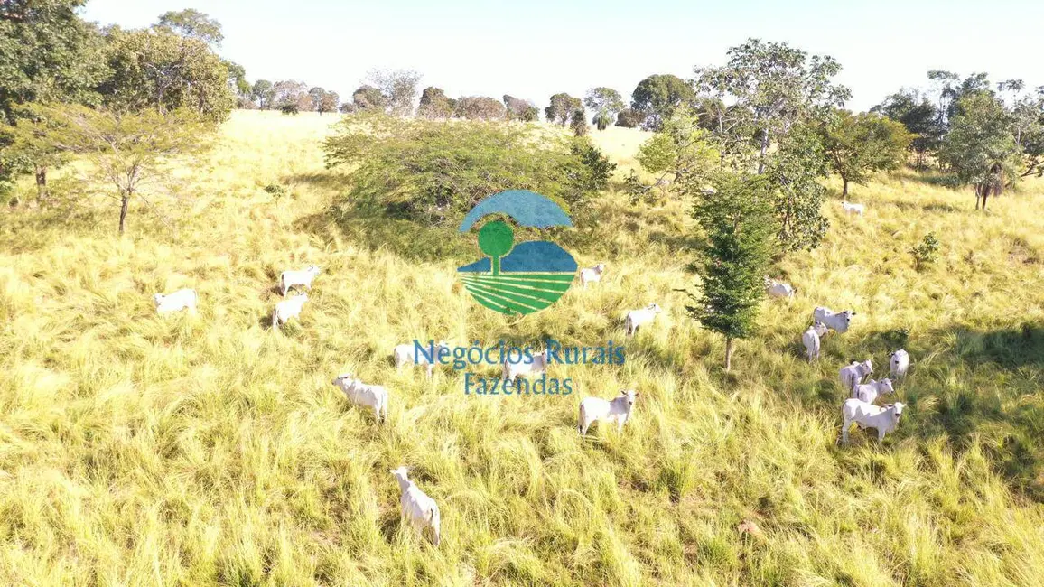 Foto 9 de Fazenda / Haras à venda em Alto Horizonte - GO