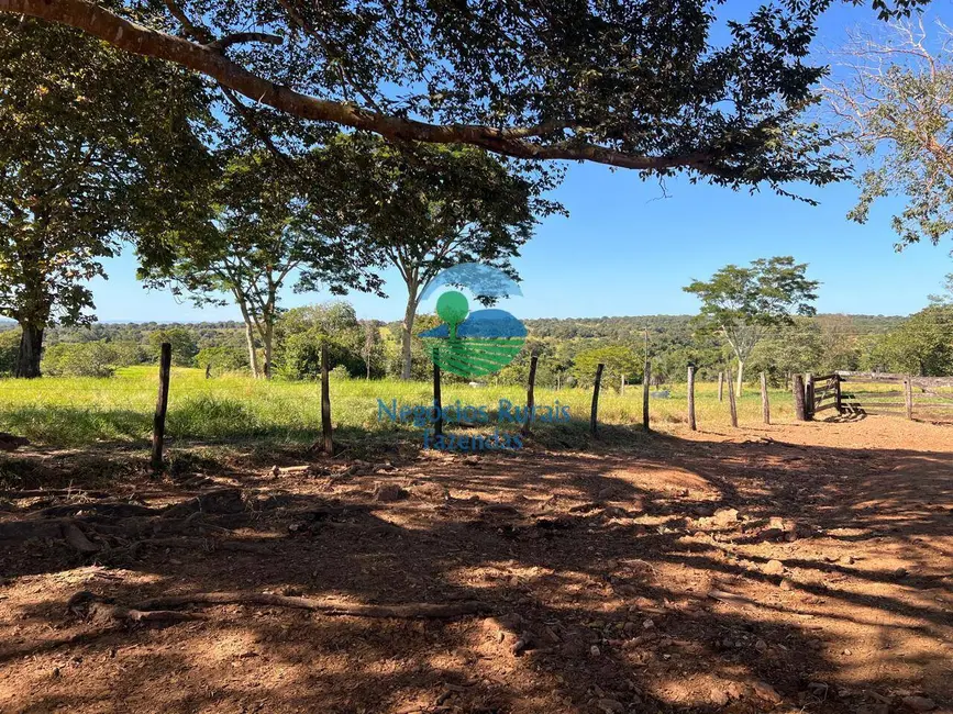 Foto 4 de Fazenda / Haras à venda em Alto Horizonte - GO