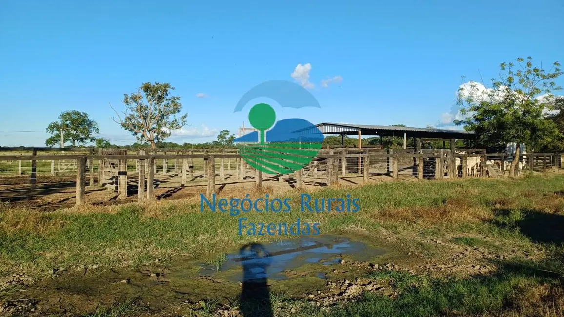 Foto 8 de Fazenda / Haras à venda, 818m2 em Setor Central, Formoso Do Araguaia - TO