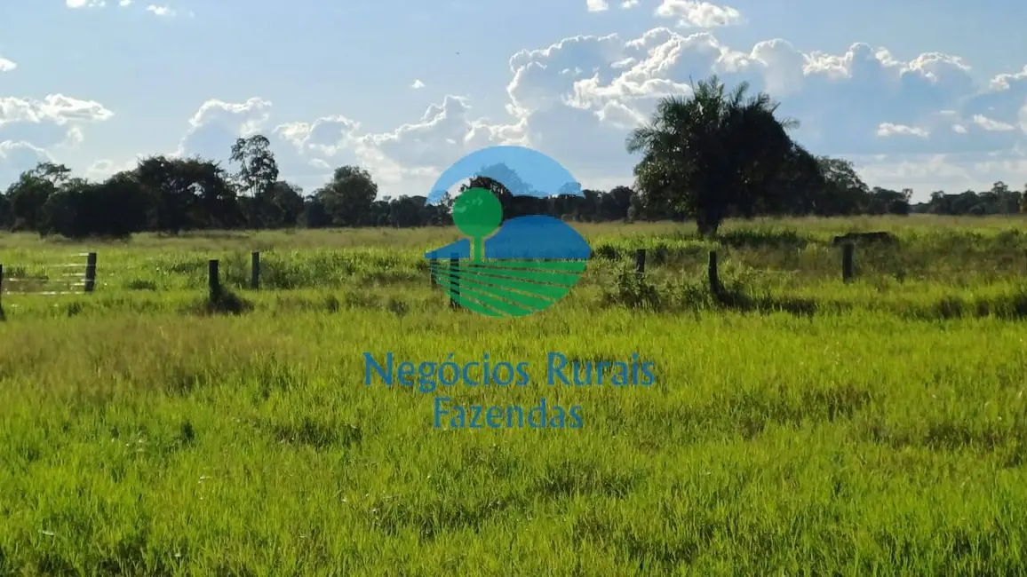 Foto 1 de Fazenda / Haras à venda, 818m2 em Setor Central, Formoso Do Araguaia - TO