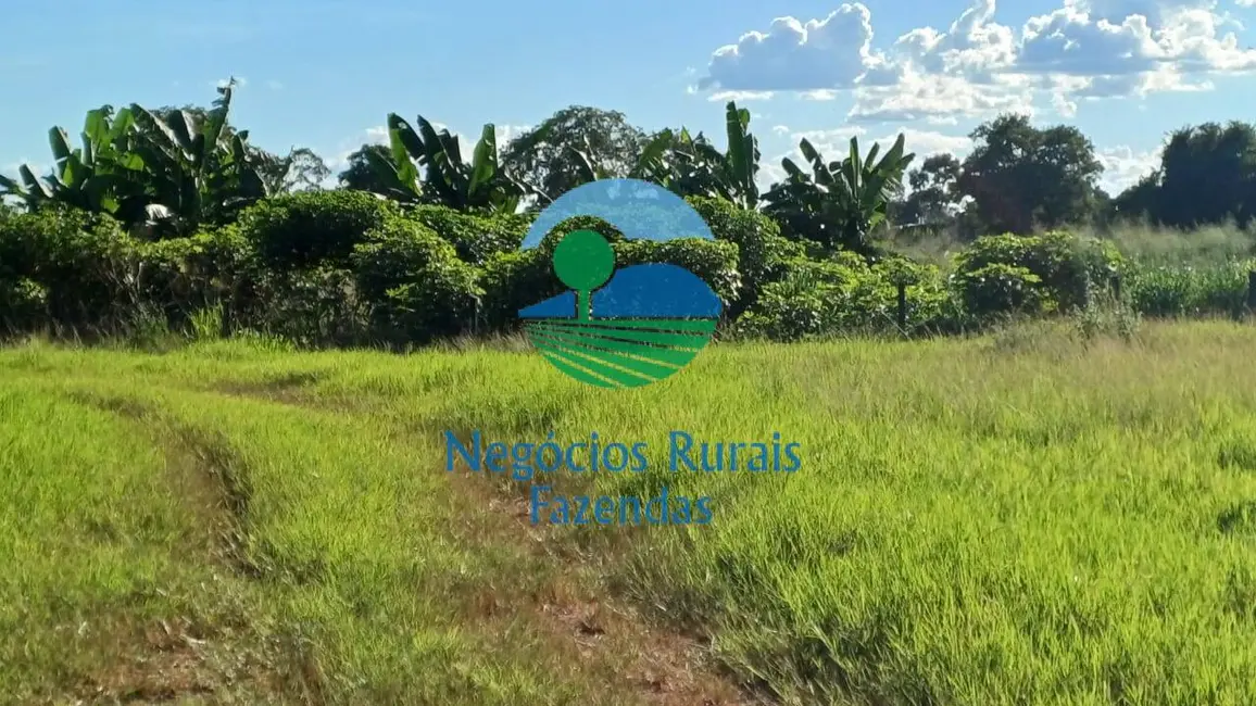 Foto 3 de Fazenda / Haras à venda, 818m2 em Setor Central, Formoso Do Araguaia - TO