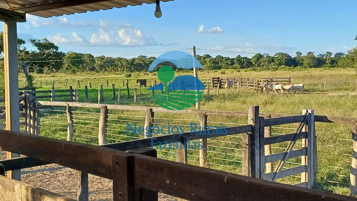 Foto 5 de Fazenda / Haras à venda, 818m2 em Setor Central, Formoso Do Araguaia - TO
