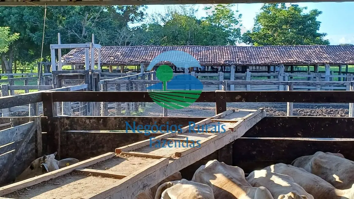 Foto 9 de Fazenda / Haras à venda, 818m2 em Setor Central, Formoso Do Araguaia - TO