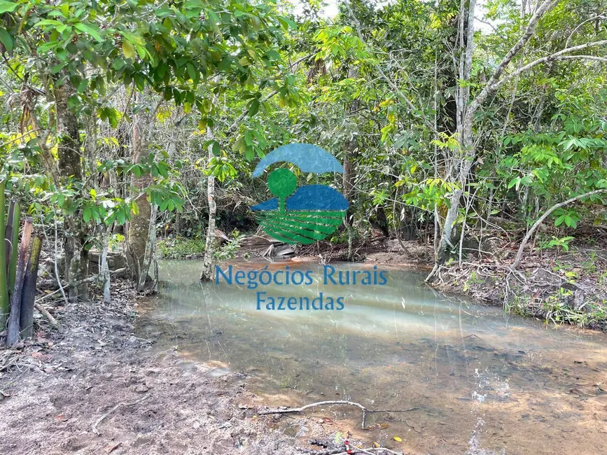 Foto 6 de Fazenda / Haras à venda, 968m2 em Setor Central, Uruacu - GO