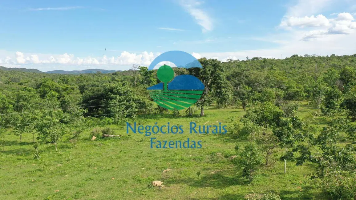 Foto 1 de Fazenda / Haras à venda, 968m2 em Setor Central, Uruacu - GO