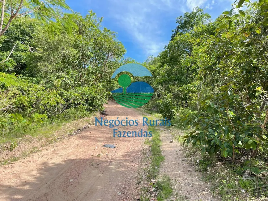 Foto 4 de Fazenda / Haras à venda, 968m2 em Setor Central, Uruacu - GO