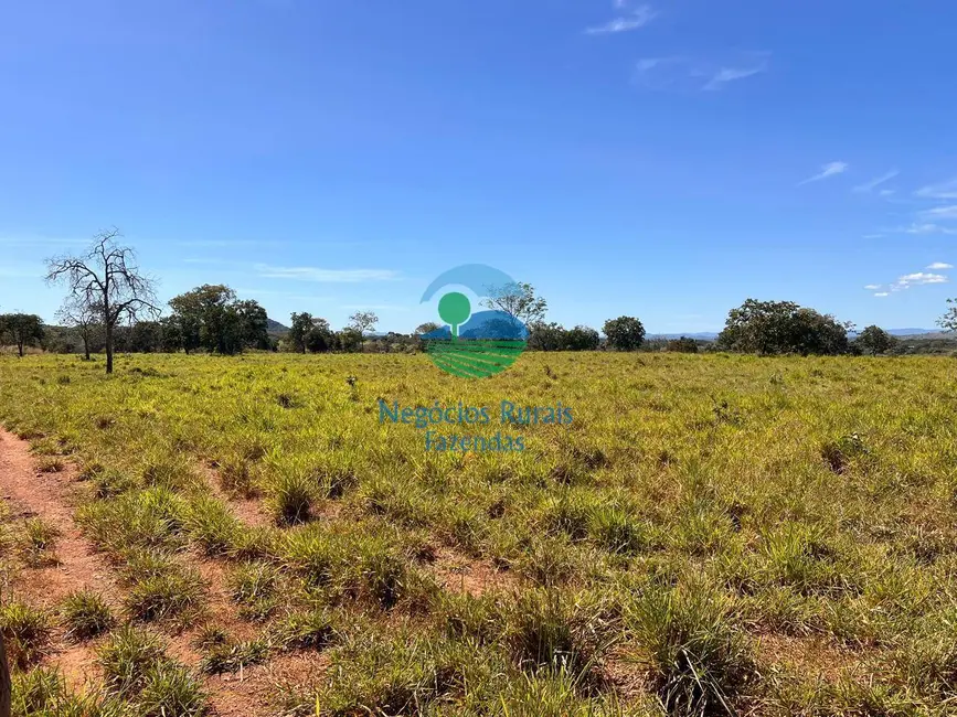 Foto 3 de Fazenda / Haras com 5 quartos à venda, 774m2 em Setor Central, Estrela Do Norte - GO