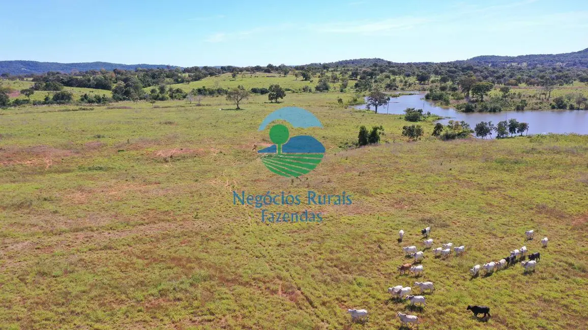 Foto 5 de Fazenda / Haras com 5 quartos à venda, 774m2 em Setor Central, Estrela Do Norte - GO