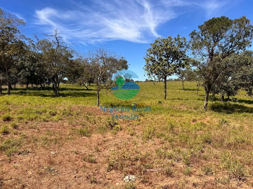 Foto 8 de Fazenda / Haras com 5 quartos à venda, 774m2 em Setor Central, Estrela Do Norte - GO